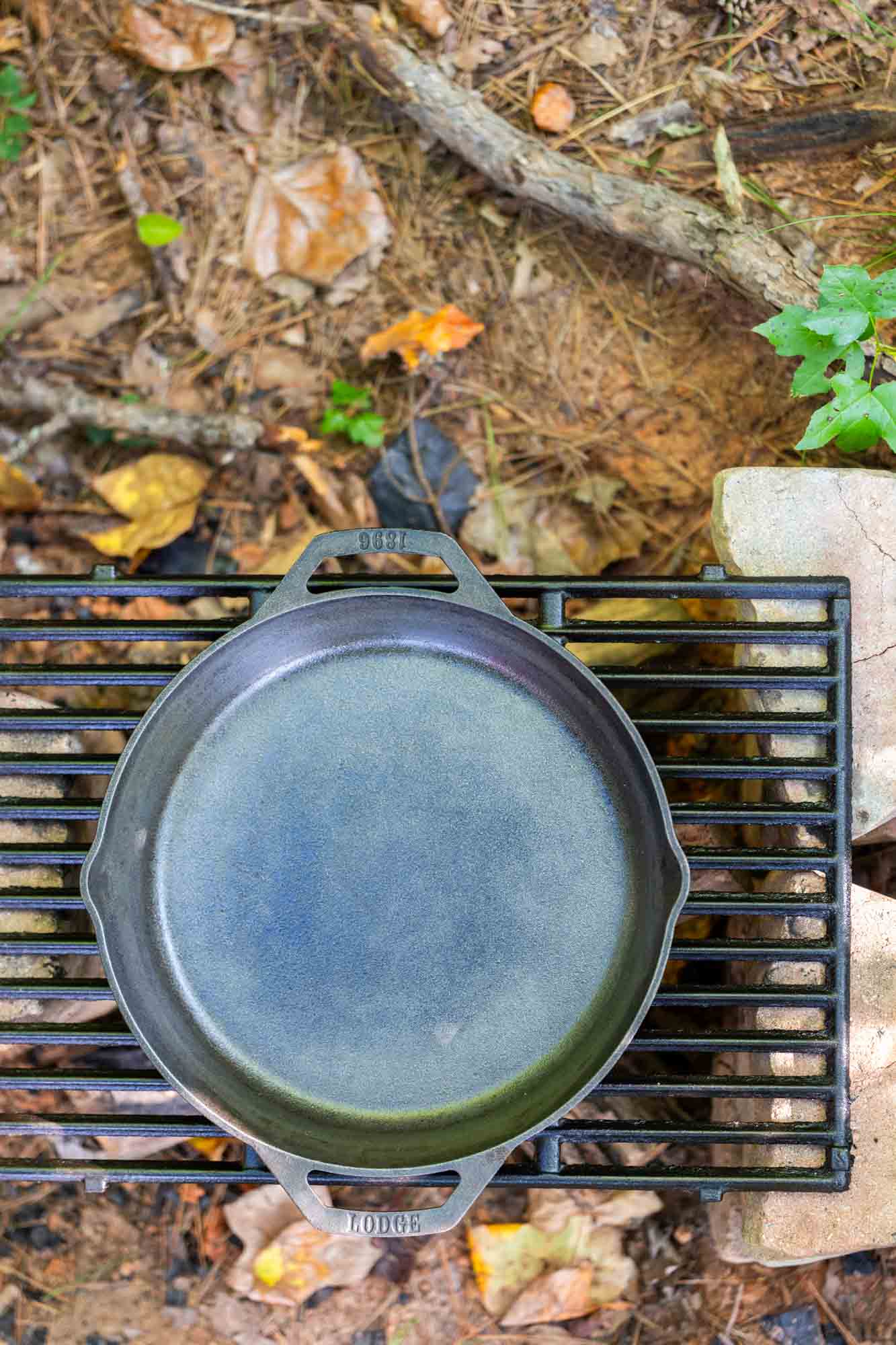 Lodge 12-inch dual handle pan